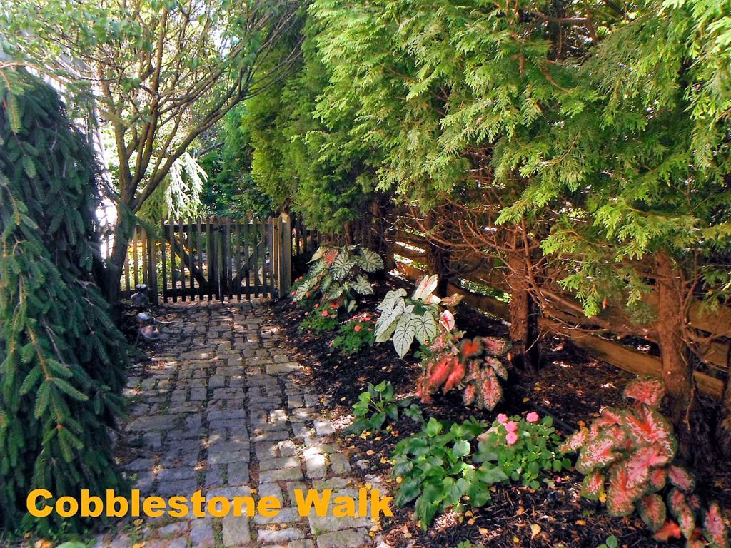 ناراغانسيت Sheppard'S Place Bed & Breakfast المظهر الخارجي الصورة